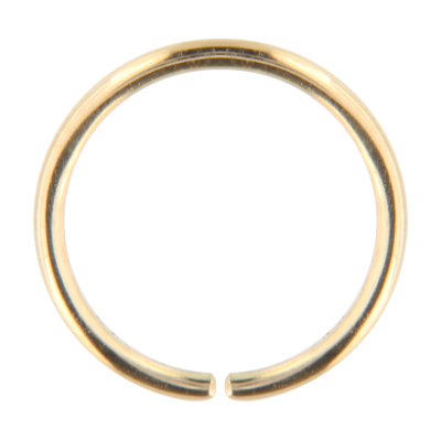 14K Gold Continuous Ring Orecchio