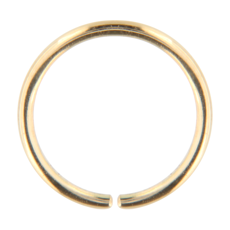 14K Gold Continuous Ring Orecchio