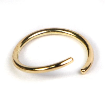 14K Gold Continuous Ring Orecchio