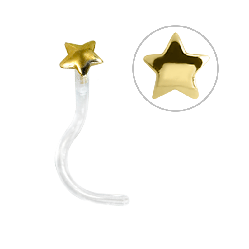 Bioplast® Nose Stud with 18K Gold Star Attachment Nostril e Cerchi