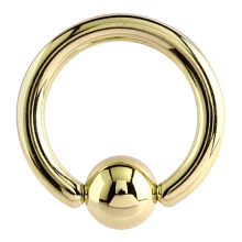 Zircon Titanium Ball Closure Ring