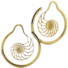 Yellow Brass Hoop Nautilus Earrings (Price for Pair)