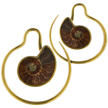 Brass Ammonite Spiral Earrings (price for pair)