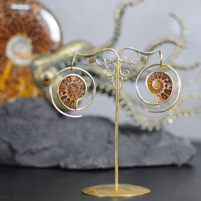 Brass Ammonite Spiral Earrings (price for pair) Gioielli da lobo in ottone