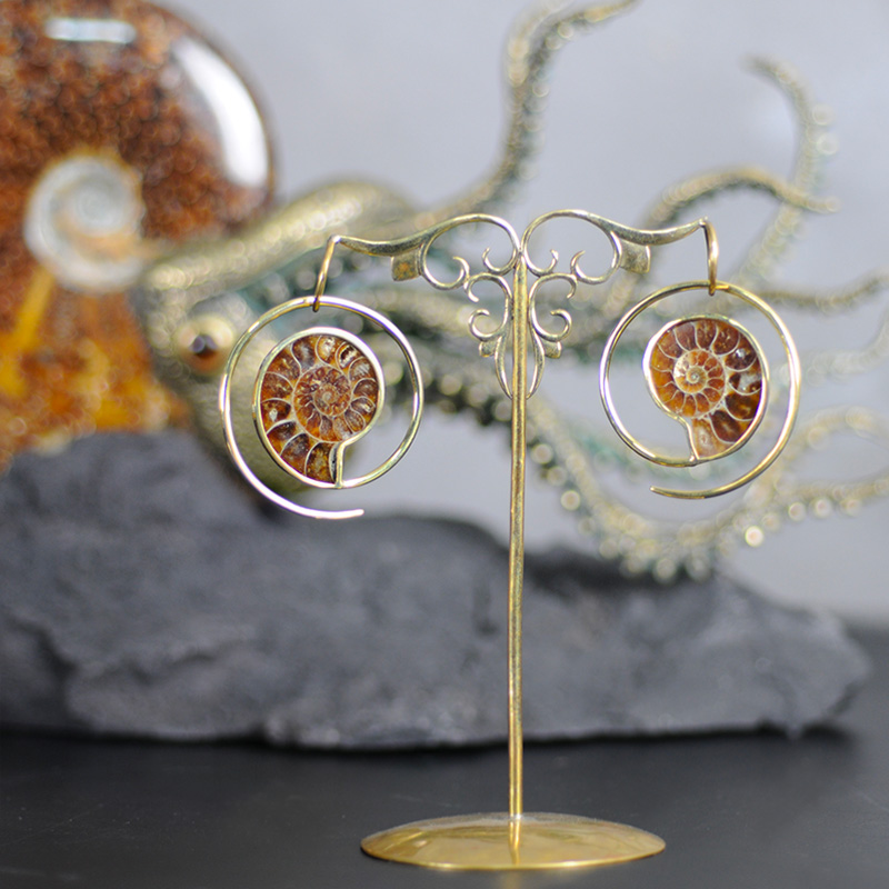 Brass Ammonite Spiral Earrings (price for pair) Gioielli da lobo in ottone