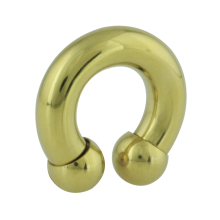 Gold Pvd Septum Circular Barbell