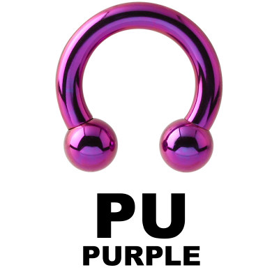 Anodized Titanium Circular Barbell Orecchio