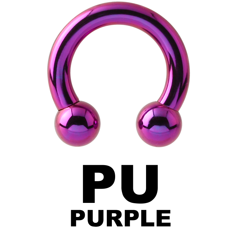 Anodized Titanium Circular Barbell Orecchio