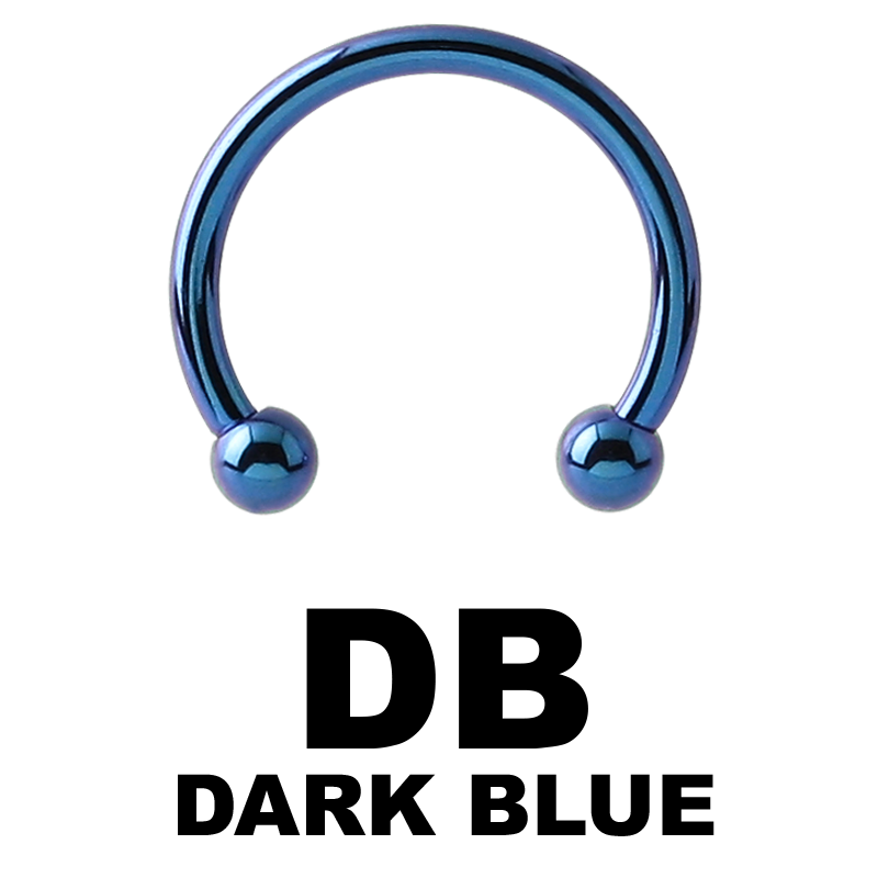Anodized Titanium Micro Circular Barbell Orecchio