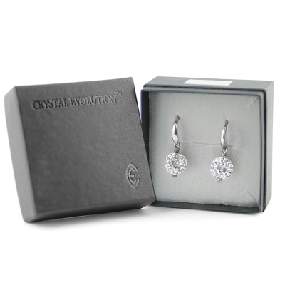 Crystal Ornament Petite Earrings Orecchini Crystal Evolution