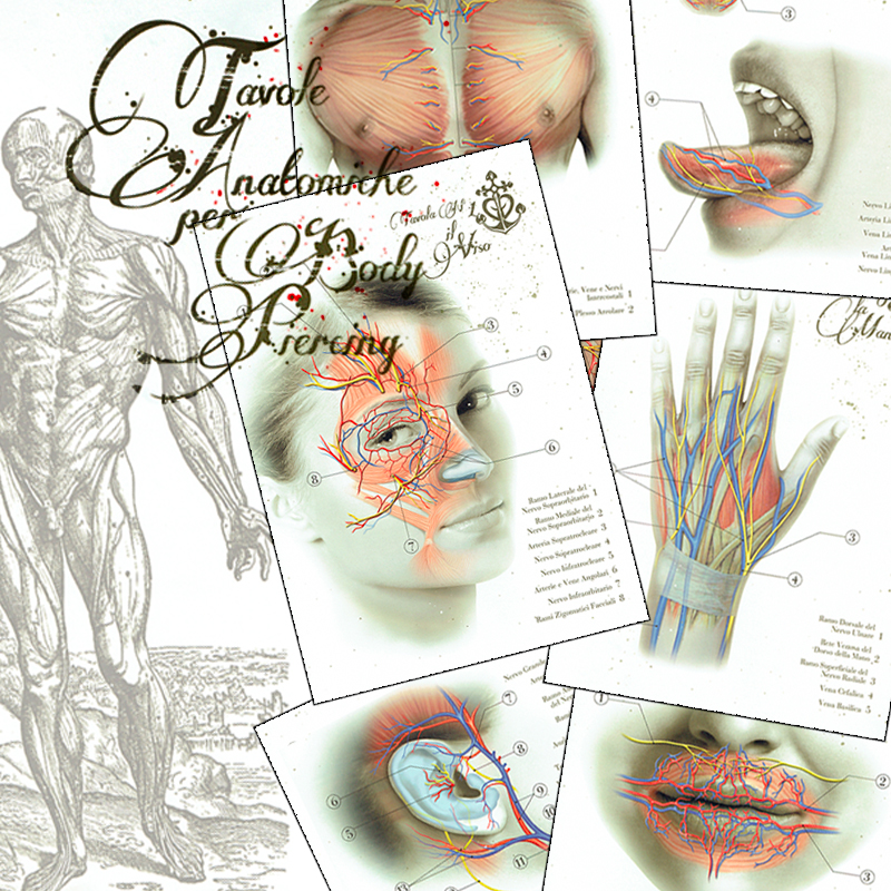 Anatomical Boards for Body Piercing DVD e Libri