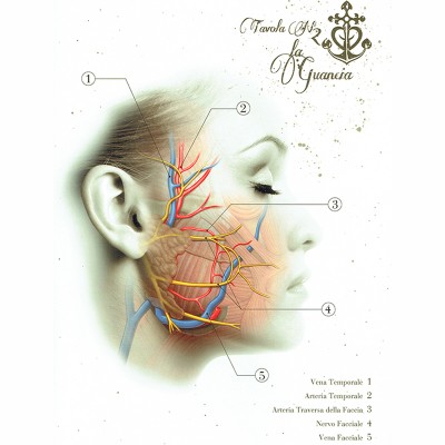 Anatomical Boards for Body Piercing DVD e Libri
