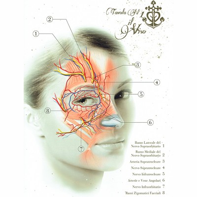 Anatomical Boards for Body Piercing DVD e Libri