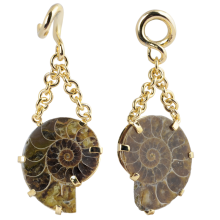 Fossilized Ammonite in Brass set Pendant (price for pair)