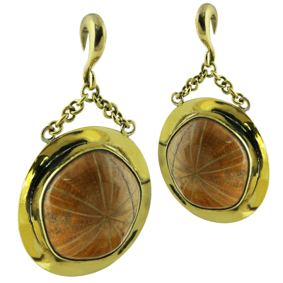 Fossil Sea Urchin in Brass Pendant Earrings (price for pair) Orecchio