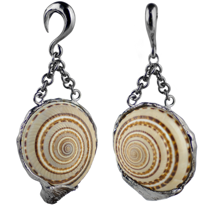 Architectonica Trochlearis Shell in Black Brass Weights (Price for Pair) Orecchio