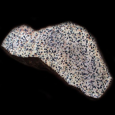 Stone Globe Flame Brass Weight Pendant Dalmatian Jasper (price for pair) Orecchio