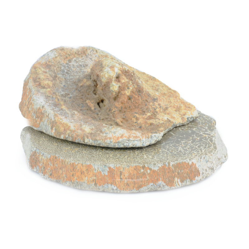 Fossilized Atlasaurus Dino Bone Flat Plug (price for pair)