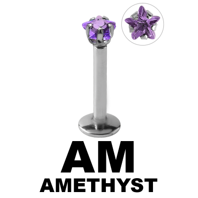 Surgical Steel Internally Threaded Labret with 3.0mm Star Prong Set Jeweled Labret