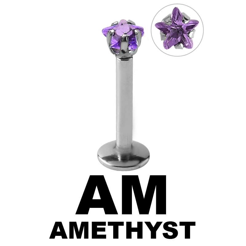 Surgical Steel Internally Threaded Labret with 3.0mm Star Prong Set Jeweled Labret