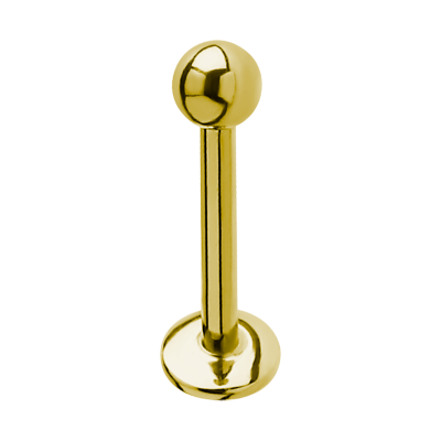 Gold Pvd Steel Micro Labret Labret