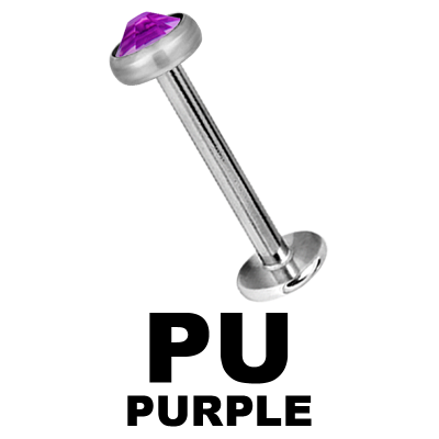 Titanium Labret with Jewelled Disk Labret