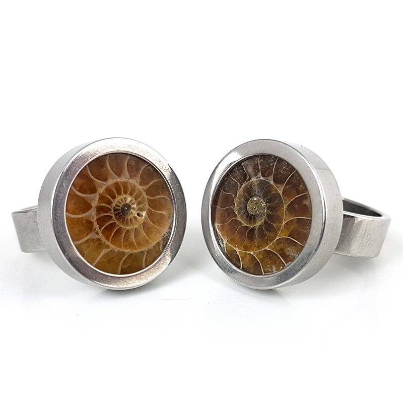 Steel Ring with Fossil Ammonite Anelli