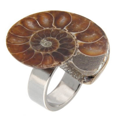 Steel Ring with Fossil Ammonite Rings