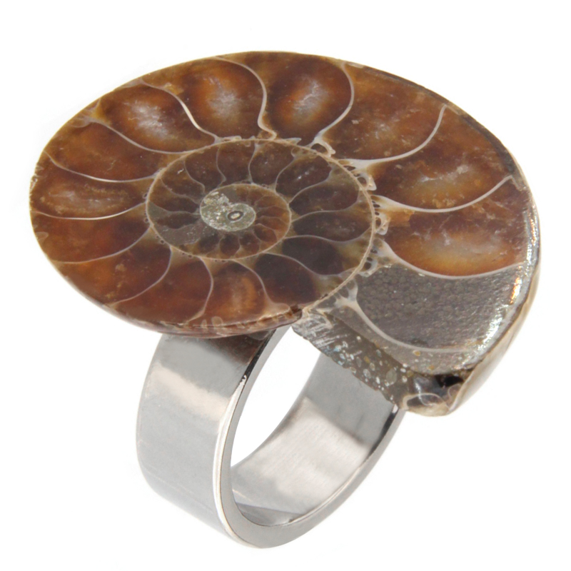 Steel Ring with Fossil Ammonite Anelli