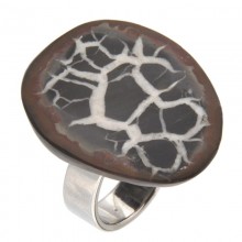Steel Ring with Septaria