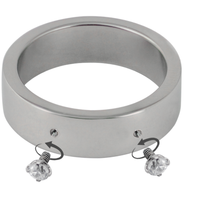 Surgical Steel Ring with 2 Microdermal Hole Rings