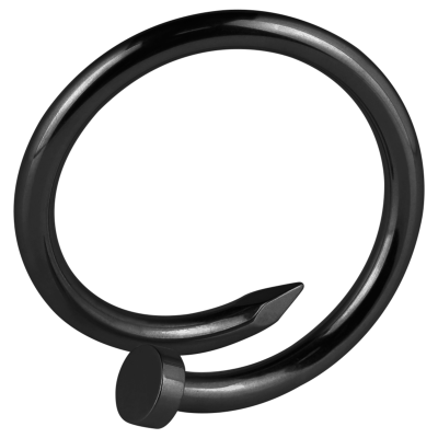 Black PVD Enlarging Earring Nail Orecchio