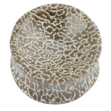 Fossilized Atlasaurus Dino Bone Concave Plug (price for pair)