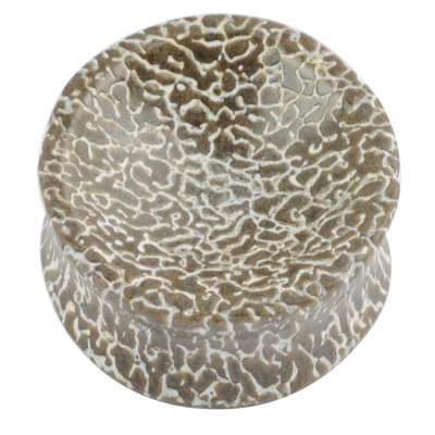 Fossilized Atlasaurus Dino Bone Concave Plug (price for pair)