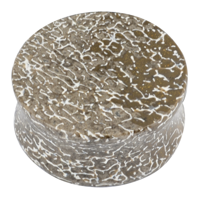 Fossilized Atlasaurus Dino Bone Flat Plug (price for pair)