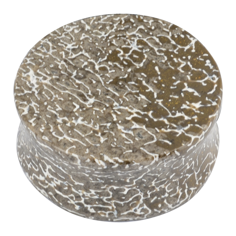 Fossilized Atlasaurus Dino Bone Flat Plug (price for pair)