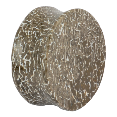 Fossilized Atlasaurus Dino Bone Flat Plug (price for pair)