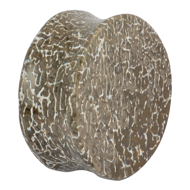 Fossilized Atlasaurus Dino Bone Flat Plug (price for pair)