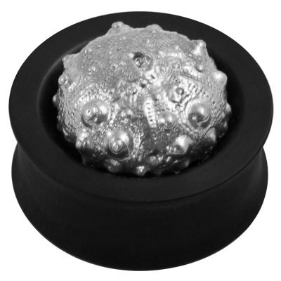 Ebony Plug with Silver Exoskeleton Sea Urchin (Price for Pair) Ear