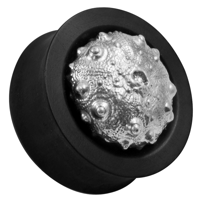 Ebony Plug with Silver Exoskeleton Sea Urchin (Price for Pair) Orecchio