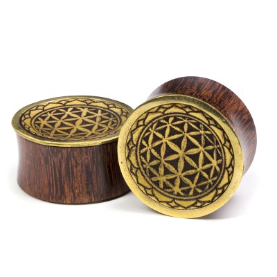 Tamarind Wood Plug with Brass and Gold Leaf Inlay Orecchio