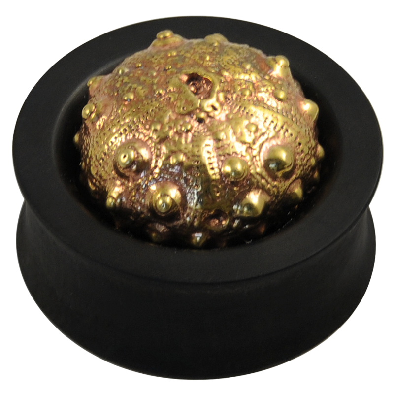 Ebony Plug with Brass Exoskeleton Sea Urchin (Price for Pair) Orecchio