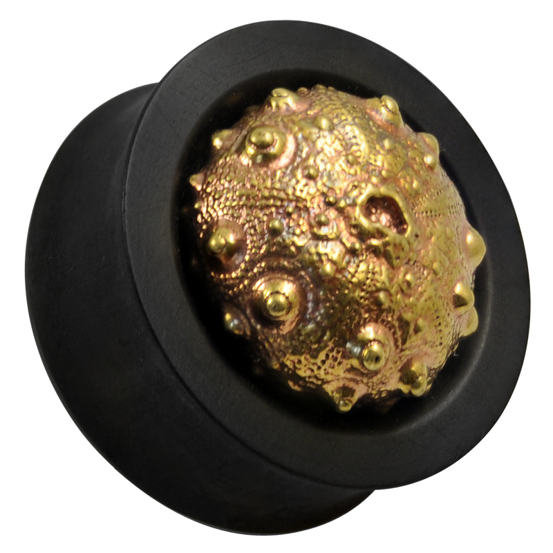 Ebony Plug with Brass Exoskeleton Sea Urchin (Price for Pair) Orecchio