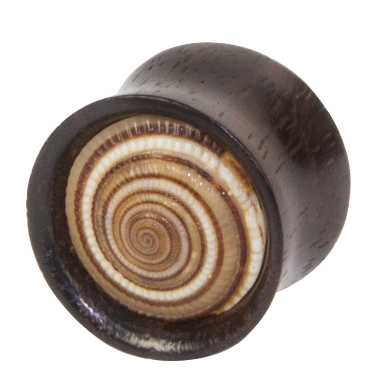 Narra Wood Ear Plug with Shell Inlay Orecchio