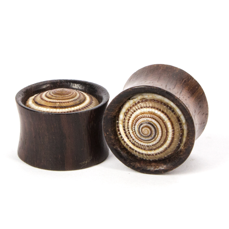 Narra Wood Ear Plug with Shell Inlay Orecchio