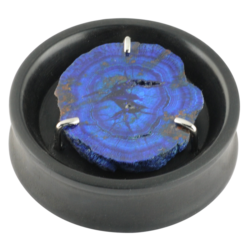 Ebony Plug with Rare Azurite Druzy Setting (Price for Pair) Orecchio