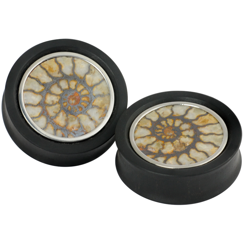 Ebony Plug with Fossilized Ammonite (Price for Pair) Orecchio