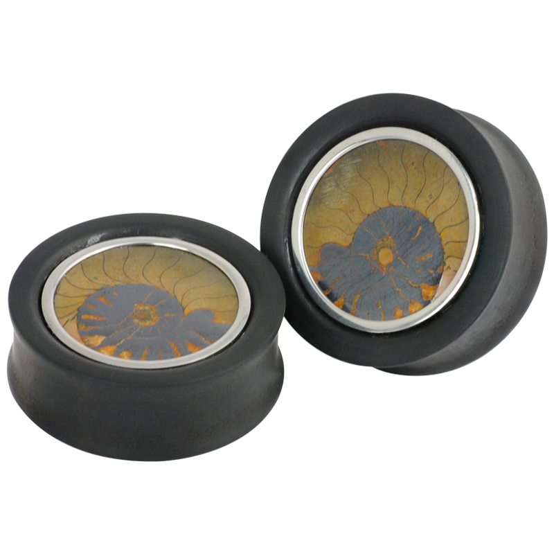 Ebony Plug with Fossilized Ammonite (Price for Pair) Orecchio