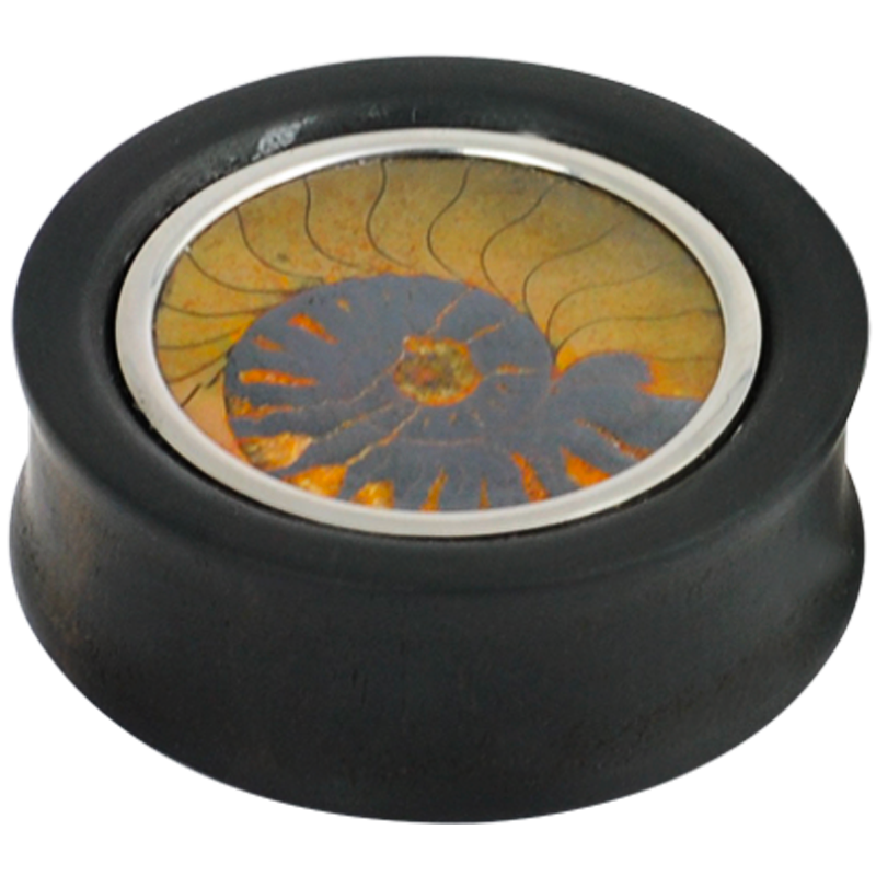 Ebony Plug with Fossilized Ammonite (Price for Pair) Orecchio
