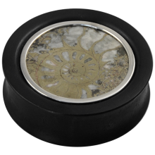Ebony Plug with Pyritized Ammonite (Price for Pair)